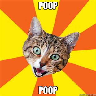 Bad Advice Cat