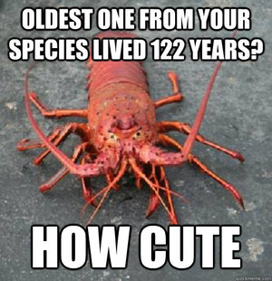 Lobster Girl Meme