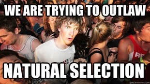 Sudden Clarity Clarence