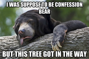 Excuses Bear