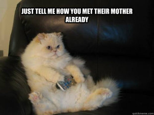 Disapproving TV Cat