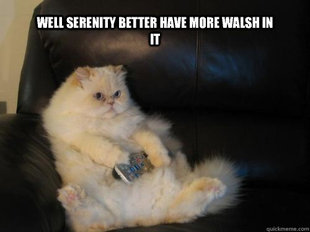 Disapproving TV Cat