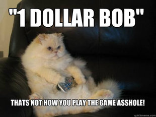 Disapproving TV Cat