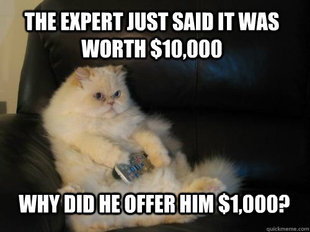 Disapproving TV Cat
