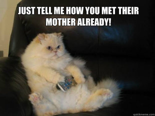 Disapproving TV Cat