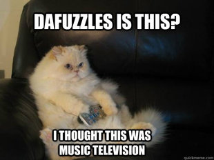 Disapproving TV Cat