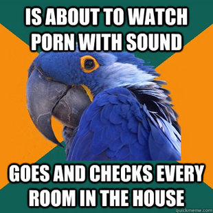 Paranoid Parrot