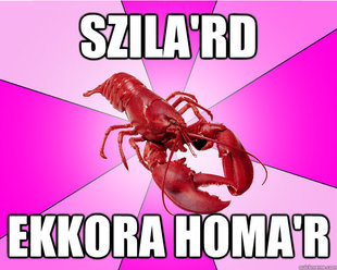 Long-term relationship Lobster