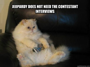 Disapproving TV Cat