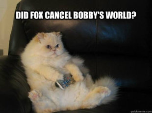 Disapproving TV Cat