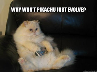 Disapproving TV Cat
