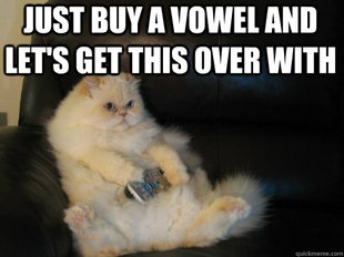 Disapproving TV Cat