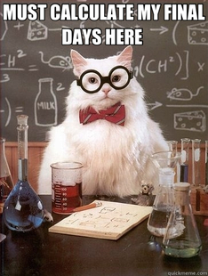 Chemistry Cat