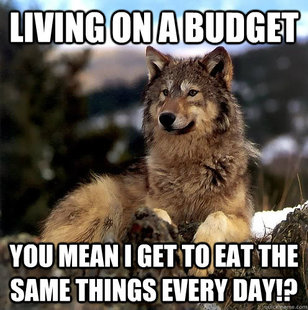 Aspie Wolf