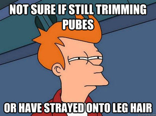 Futurama Fry