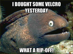 Bad Joke Eel