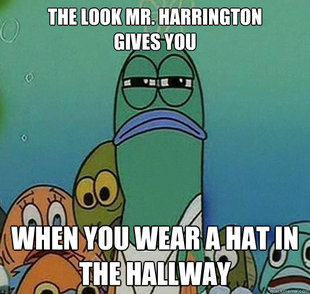 Serious fish SpongeBob
