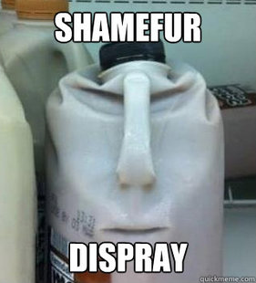 shamefurdispray212