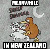 nz sheep shaggers