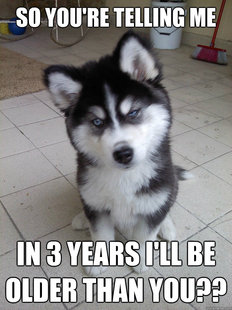 Skeptical Newborn Puppy