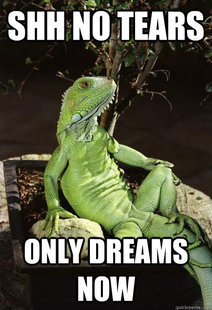 shh no tears iguana