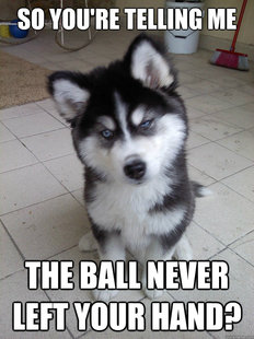 Skeptical Newborn Puppy