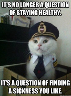 Captain kitteh