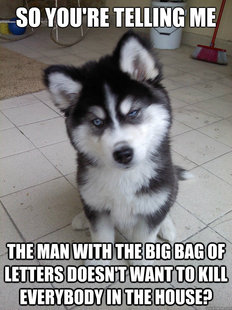 Skeptical Newborn Puppy