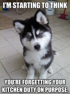Skeptical Newborn Puppy