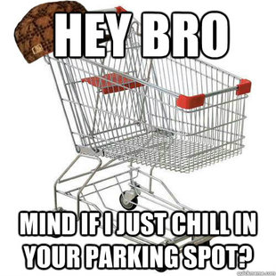 Scumbag shopping cart