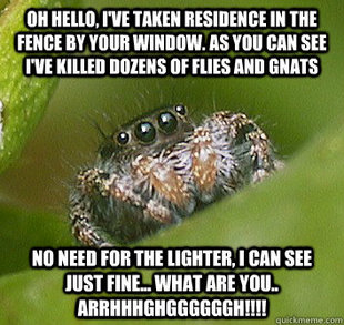 Spider Meme on Misunderstood Spider Meme   Quickmeme