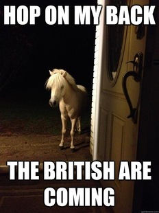 Neighborhood Nuisance
