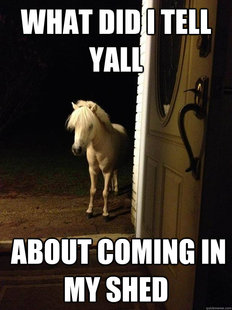 Neighborhood Nuisance