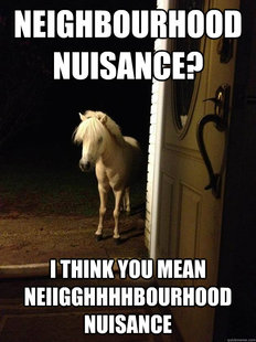 Neighborhood Nuisance
