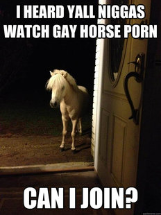 Neighborhood Nuisance
