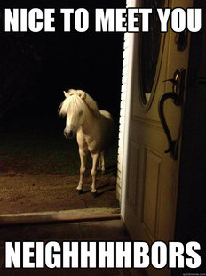 Neighborhood Nuisance