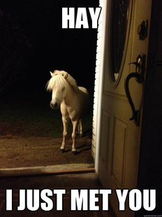 Neighborhood Nuisance
