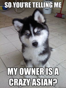 Skeptical Newborn Puppy