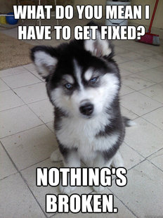 Skeptical Newborn Puppy