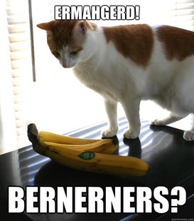 Cat Banana