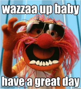 Advice Animal