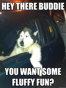 Mean Dog