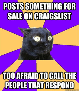 Anxiety Cat