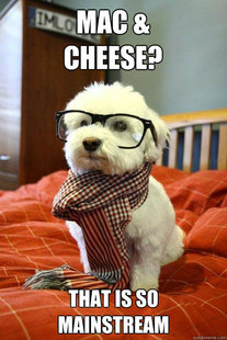 Hipster Dog