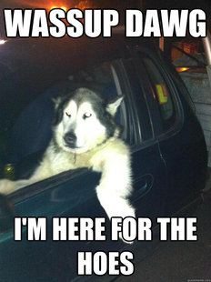 Mean Dog