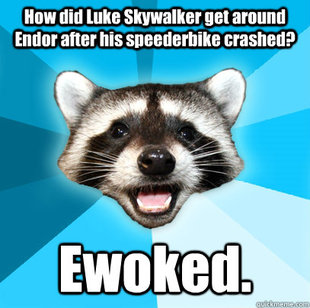 Lame Pun Coon