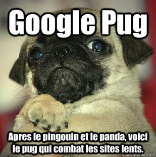 SMUG PUG
