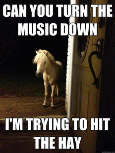 Neighborhood Nuisance