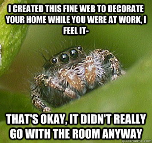 Misunderstood Spider