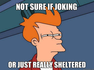 Futurama Fry